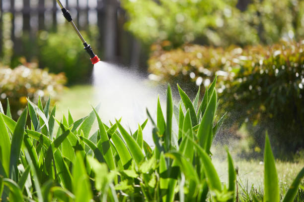 24/7 Emergency Ant Control experts in Morro Bay, CA