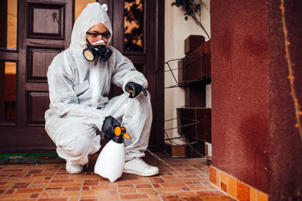 Reliable Ant Control contractor in Morro Bay, CA by Show Me Pest Control